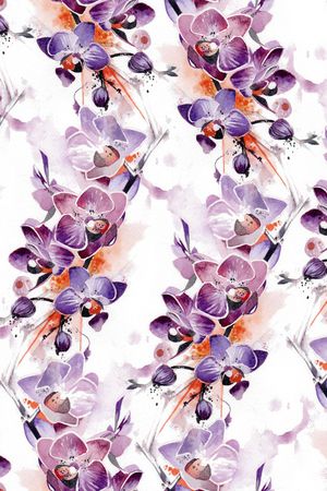 蝴蝶兰印花华亿平台图片