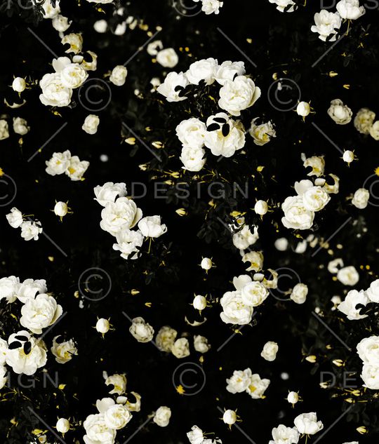 大牌风印花华亿平台图片