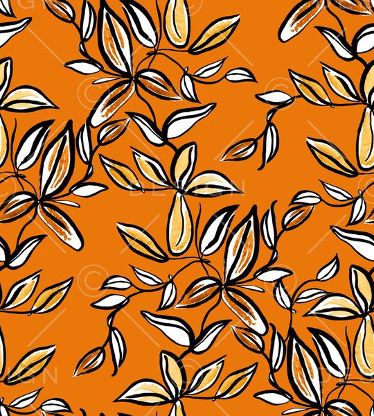 蝴蝶兰印花华亿平台图片