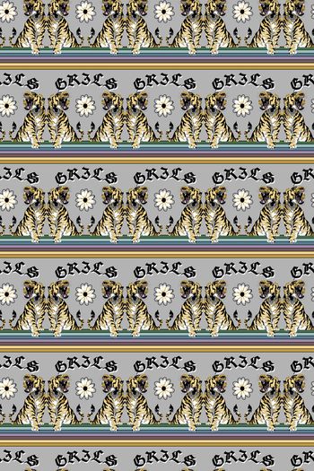 1364349-200919双虎雏菊灰色