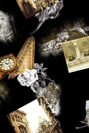 动物印花华亿平台图片