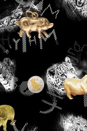 动物印花华亿平台图片