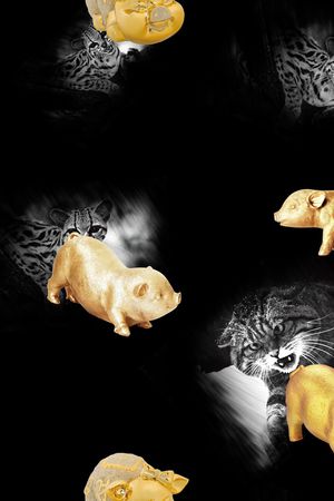 动物印花华亿平台图片