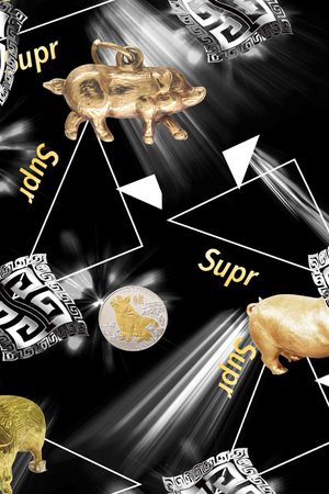 动物印花华亿平台图片