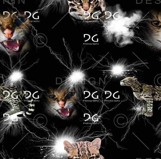 动物印花华亿平台图片