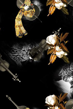 动物印花华亿平台图片