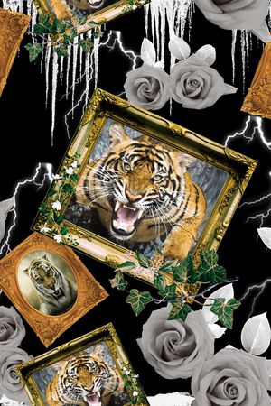 动物印花华亿平台图片