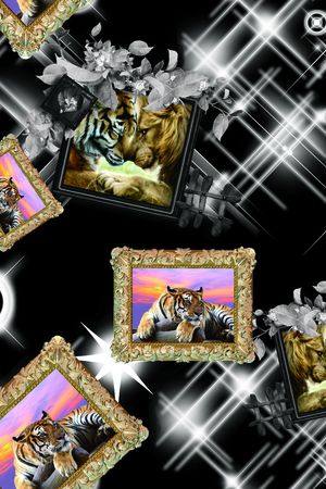 动物印花华亿平台图片