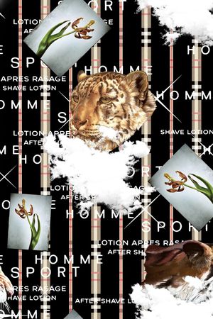 动物印花华亿平台图片