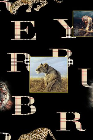 动物印花华亿平台图片