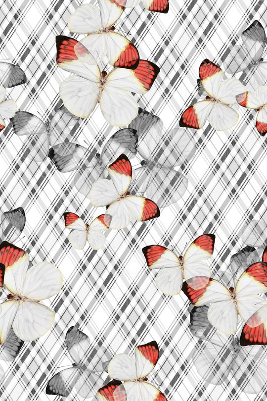 格子印花华亿平台图片