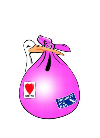 1365120-天鹅水袋 粉红