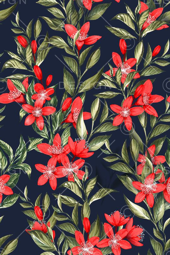 女装印花华亿平台图片