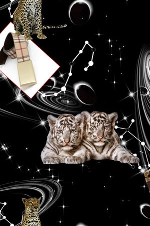 动物印花华亿平台图片