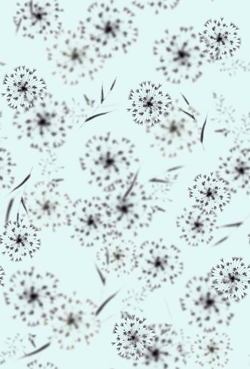 1365837-200927蒲公英回路蓝色