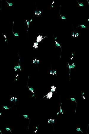 大牌风印花华亿平台图片