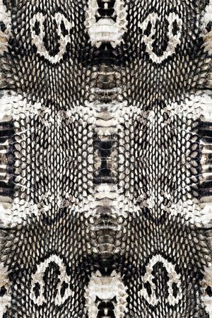 蛇纹印花华亿平台图片