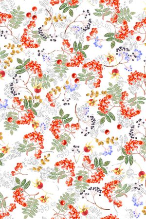 水果印花华亿平台图片