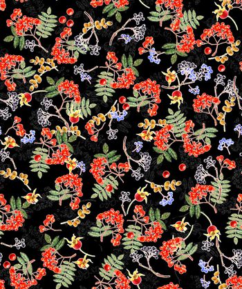 1366050-200928浆果回路黑色