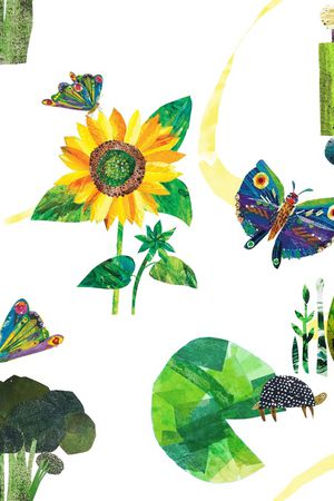 花卉蝴蝶印花华亿平台图片