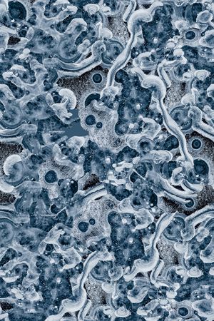 卫衣印花华亿平台图片