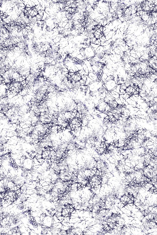 线条印花华亿平台图片