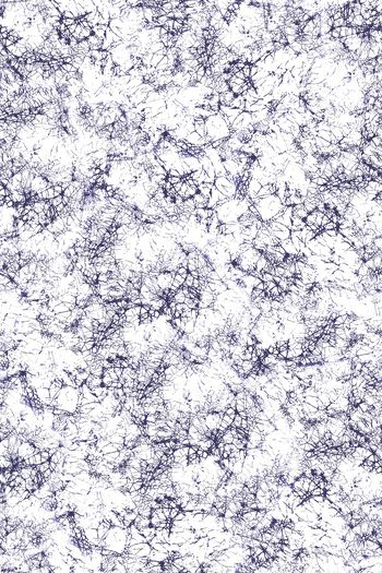 线条印花华亿平台图片