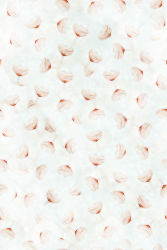 女装印花华亿平台图片