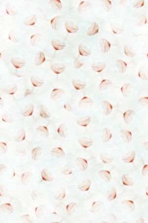 女装印花华亿平台图片