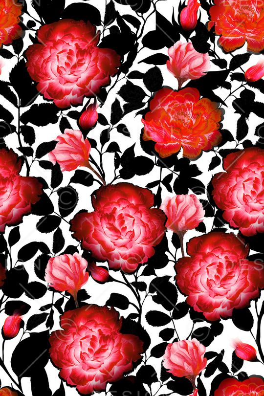 女装印花华亿平台图片