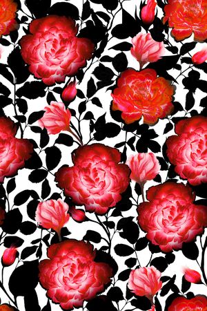 女装印花华亿平台图片