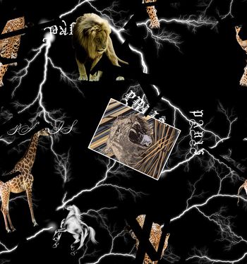 男装满版花印花华亿平台图片