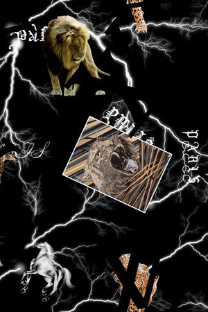 男装满版花印花华亿平台图片