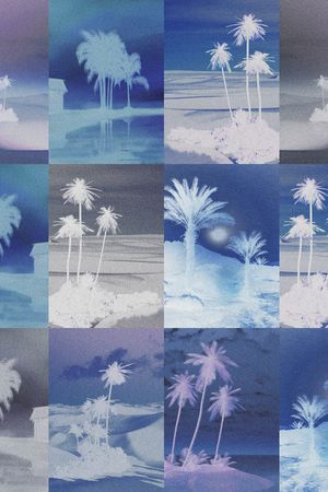 椰子树印花华亿平台图片