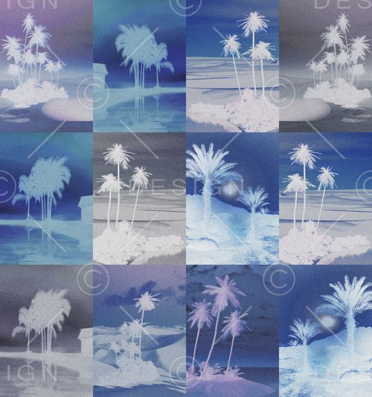 椰子树印花华亿平台图片