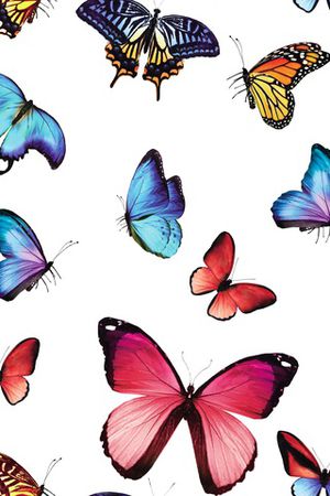 时尚印花华亿平台图片