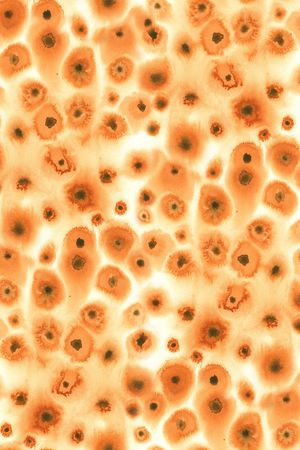 笔触印花华亿平台图片