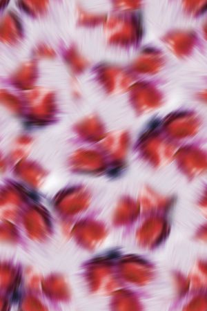 女装印花华亿平台图片