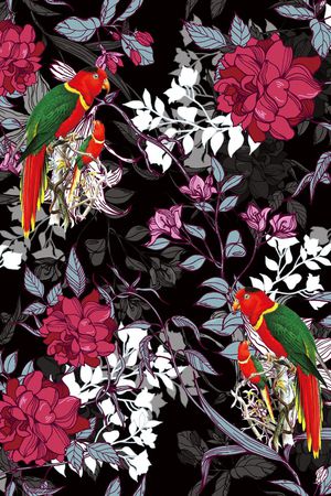 鹦鹉印花华亿平台图片