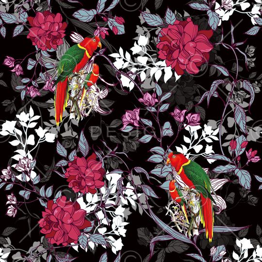 鹦鹉印花华亿平台图片