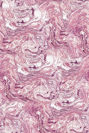 时尚印花华亿平台图片