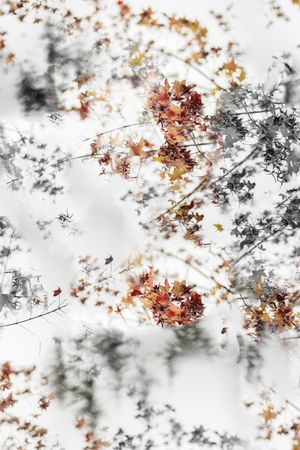 复古印花华亿平台图片