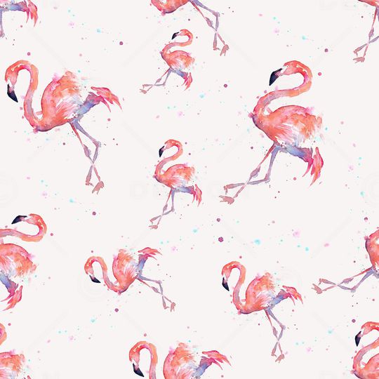 可爱印花华亿平台图片