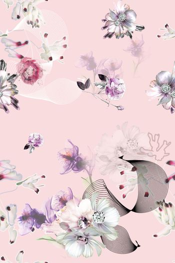 1369272-dear-20279-1