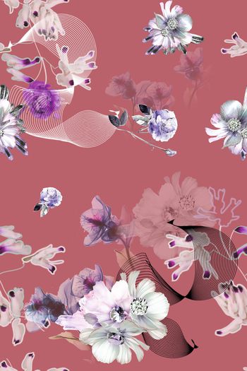 1369274-dear-20279-2