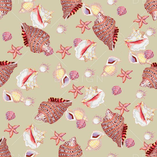 贝壳印花华亿平台图片