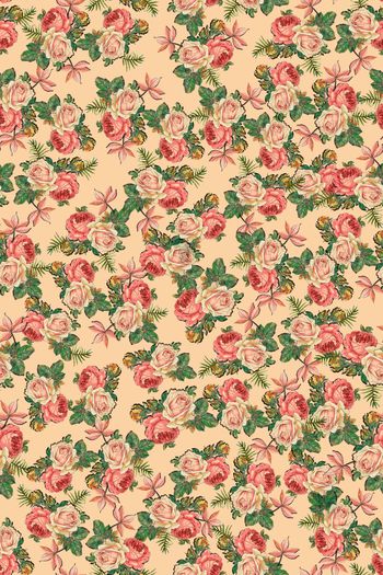 1369706-dear-20283-1