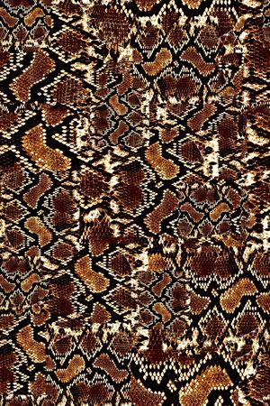 蛇纹印花华亿平台图片