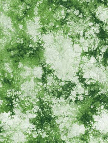 1369956-2020-010-16-C