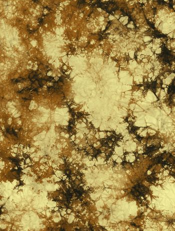 1369957-2020-010-16 --D